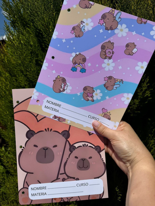 Kit Etiquetas + Carátulas Personalizables — imagen 1
