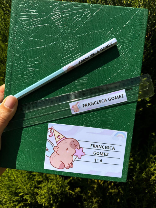 Kit Primaria Carpincho — imagen 3